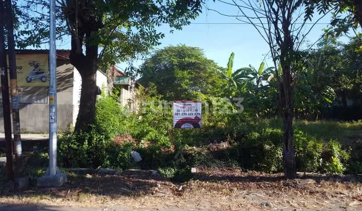 Tanah di Sumur Welut, Harga Dibawah Pasaran, Bisa Utk 1 Unit Ruko Tanah di Sumur Welut, Harga Dibawah Pasaran, Bisa Utk 1 Unit Ruko