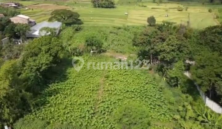 Tanah Nol Jalan Raya Surabaya malang purwodadi