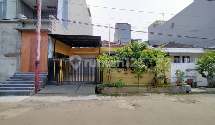 Green Ville House 5+1 Bedrooms 225 M2 9x25 Northeast