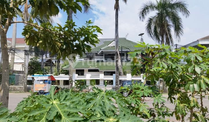 Green Garden House 6 Bedrooms 795 M2 28x28.3 Northeast