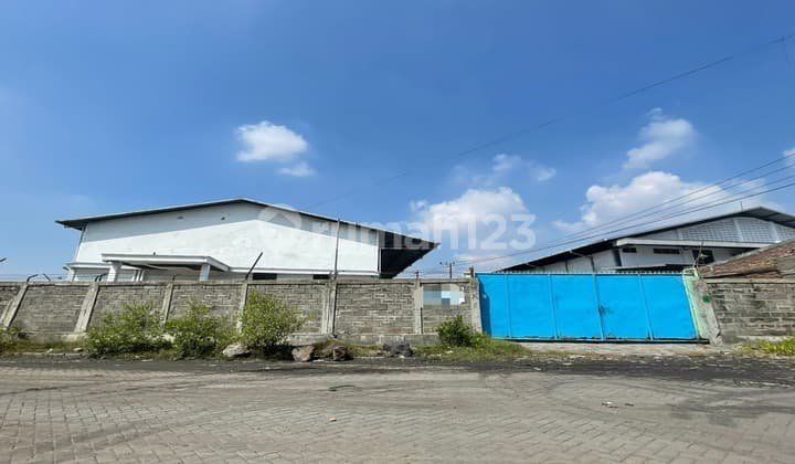 Gudang Greges Jaya Margomulyo Shm Jual Murah Lelang Kontainer