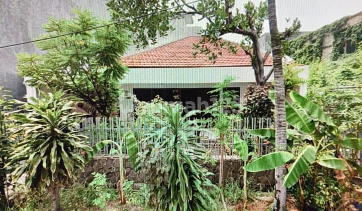 Rumah Murah Hitung Tanah Ngagel Wasana Surat Ijo