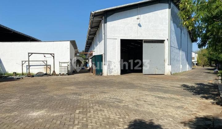 Pabrik Gudang Dijual Gresik Murah Dibawah Appraisal Bank