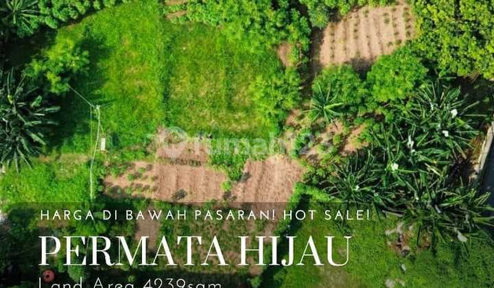 Hot Sale Good Deal Harga Bawah Pasar Tanah Kavling Besar Permata Hijau