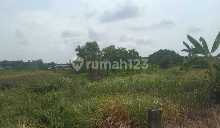 DIJUAL TANAH JALAN PMD TALANG KELAPA PALEMBANG