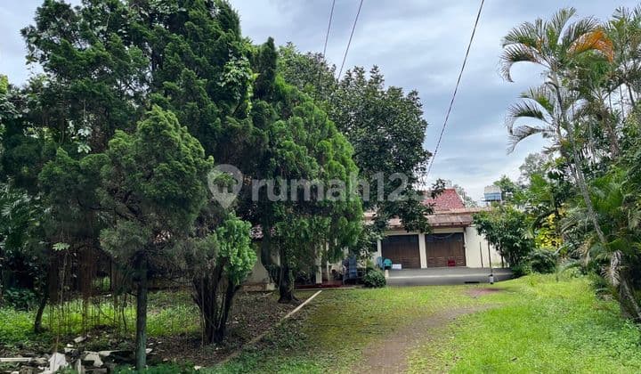 Hot Deal!! Lelang Rumah Mewah Tanah Luas Jalan Rawa Kopi Cinere Depok - 1 Menit ke Tol Andara