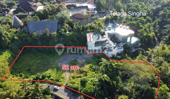 Dijual Tanah Pinggir Jalan - Los Sungai Wos Singapadu