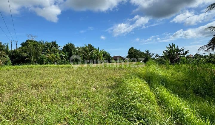 Dijual Buc Lokasi Gianyar Temesi View Sawah Lahan Siap Bangun