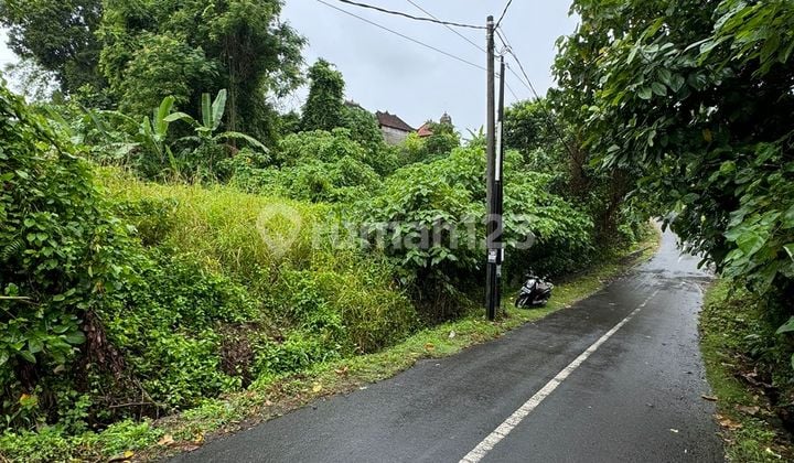 Di Jual Lahan Luas 743 M2 Di Banjar Gelogor ,lodtunduh,ubud