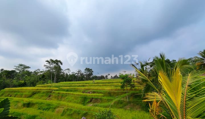 Dijual tanah view sawah sangat indah di Ubud