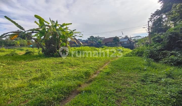 Dijual Tanah di Ubud view cantik jungle dan pepohonan