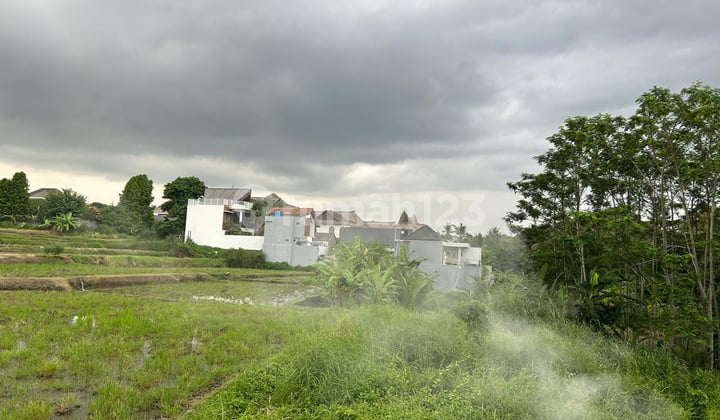 Dijual Tanah Di Ubud View Sawah Dekat Jalan Raya