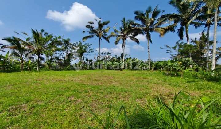 Dijual Tanah Di Ubud cocok untuk Villa & Investasi view cantik
