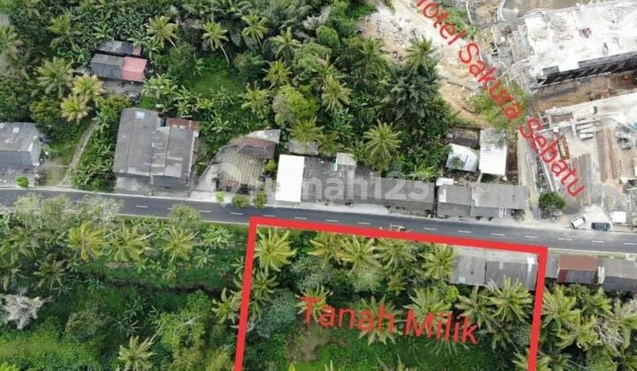 Dijual Lahan Premium di Kawasan Wisata Favorit Utara Ubud SHM