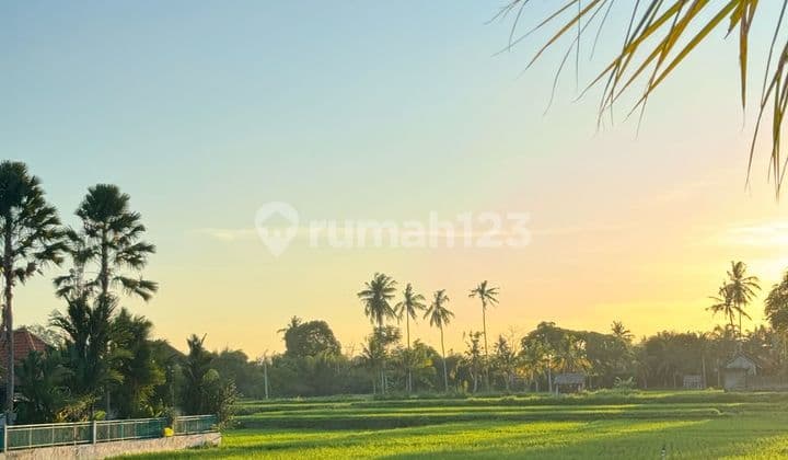 Dijual Lahan Istimewa Lokasi di Silungan Lodhundho Ubud