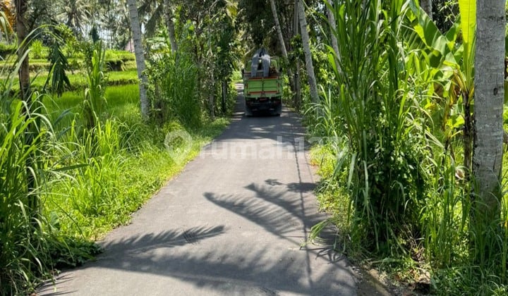 Dijual Tanah Diubud Lingkungan Villa Dan Resort Akses Mobil