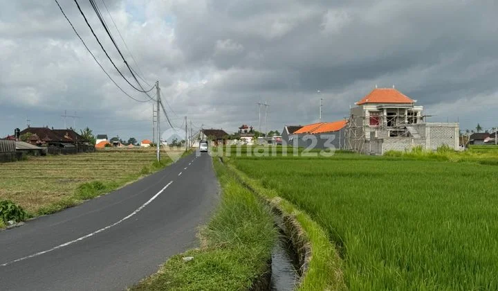 Dijual Lahan Premium - View Sawah, Gunung & Lembah di Rangkan