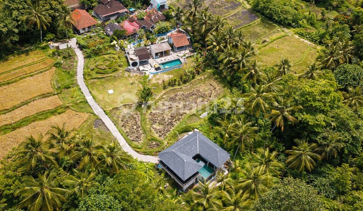 Dikontrak Villa Leasehold 25Tahun5.9km Dari Ubud Palace