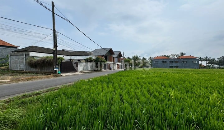 For Sale Premium Land Villa Environment View Rice Fields Access Road 5 M