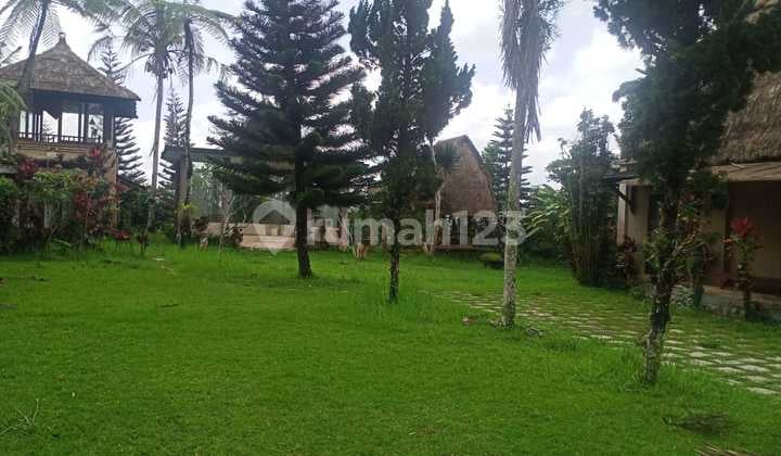 Dijual Lahan Disebatu Ubud Lingkungan Asri Tenang View Indah