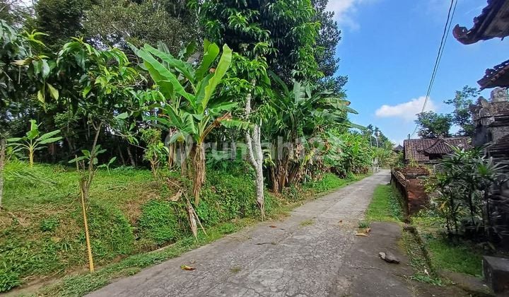 Tanah Kawasan Villa Pejeng Kaje 15 Menit Ubud Cetral