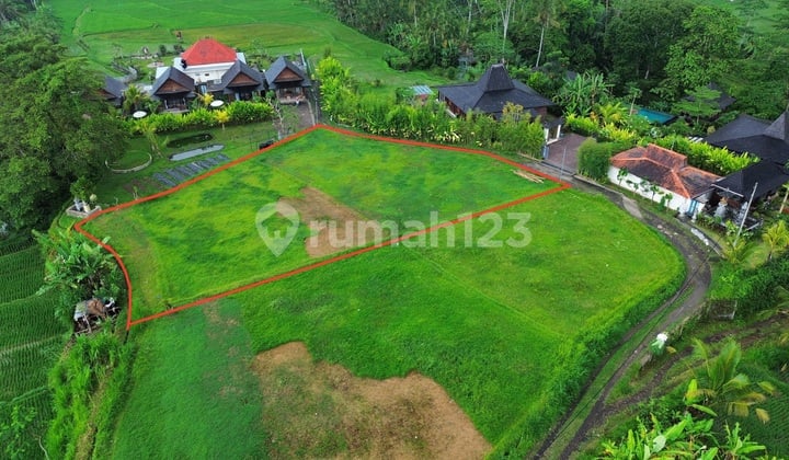 Di Jual Tanah Yang Terletak Di Daerah Tegalalang Ubud View Cantik