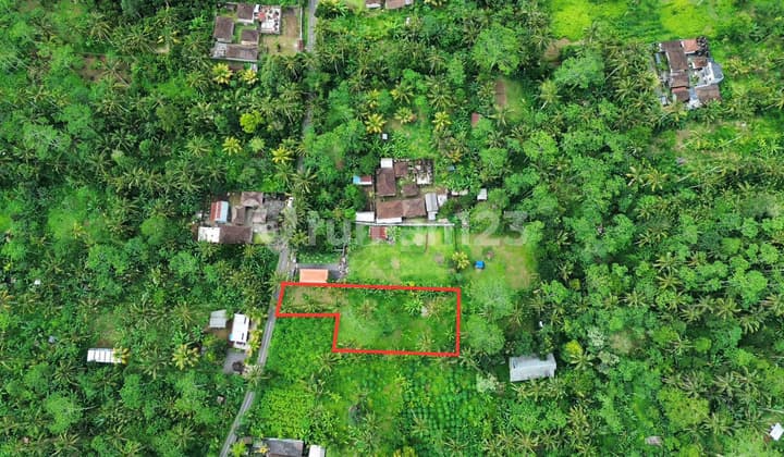 Fast Sale Land with Jungle and Nature Views in Peaceful Village East of Ubud