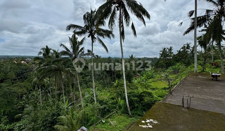 Dijual Tanah di Utara Ubud Butuh Uang Cepat View Cantik