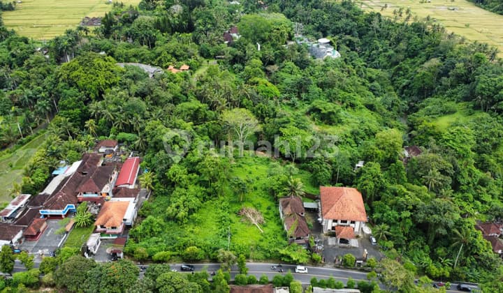 Dijual Tanah Pinggir Jalan Raya Goa Gajah - Ubud Strategis