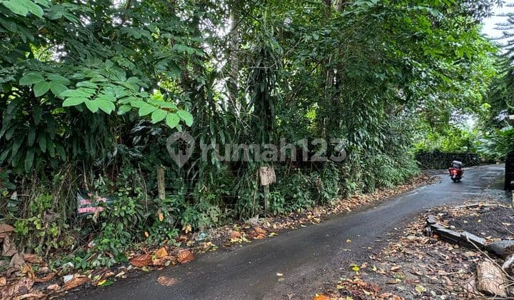 Dijual Tanah Murah View Sungai Ubud Cocok untuk Vila/Investasi