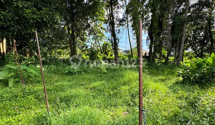 Dijual Tanah Strategis Nyuhkuning Singakerta Ubud Lingkungan Vila