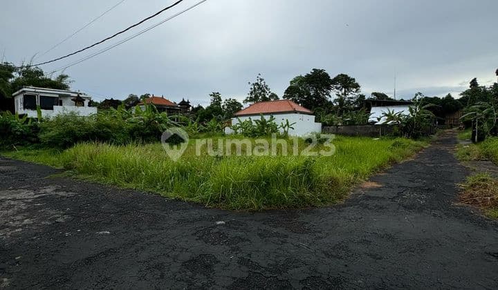 Jual Tanah Murah Radius Ubud View Suasana Desa Asri Tenang