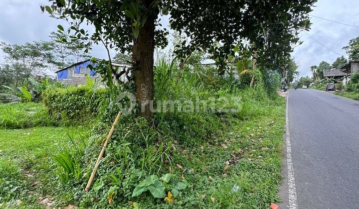 Dijual Tanah View Lembah & Jungle di Ubud untuk Resort & Restoran