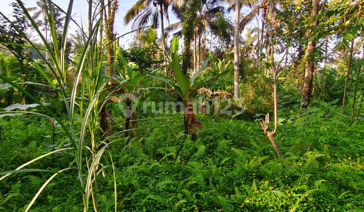 Dijual Cepat Tanah Strategis Tampaksiring Ubud Akses Jalan Besar