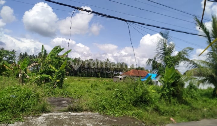 Dijual Tanah View Sawah di Kemenuh Cocok Resort, Villa & Restoran