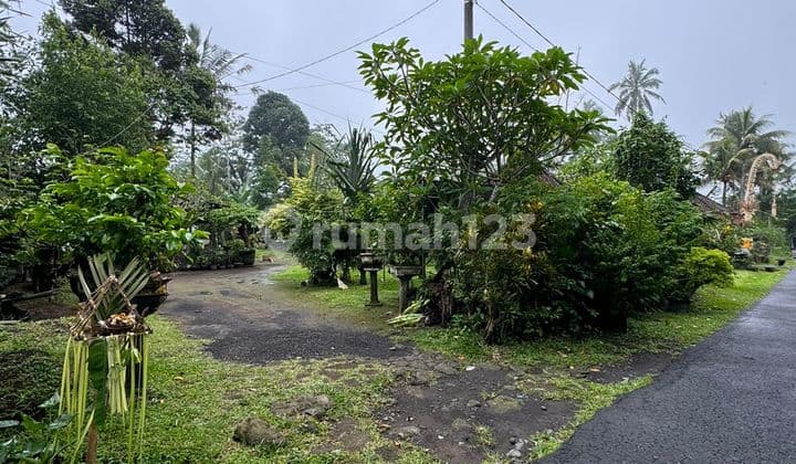 Dijual Lahan Diutara Ubud Lokasi Tegalalang Shm View Jungle Hutan