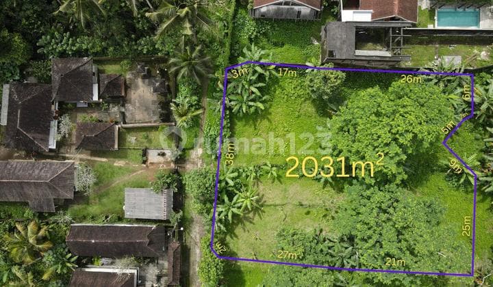 Dijual Tanah Kawasan Villa Di Ubud Central view pedesaan
