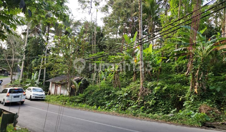 Dijual Tanah Super Langka Di Jl Raya Utama Resort Ubud