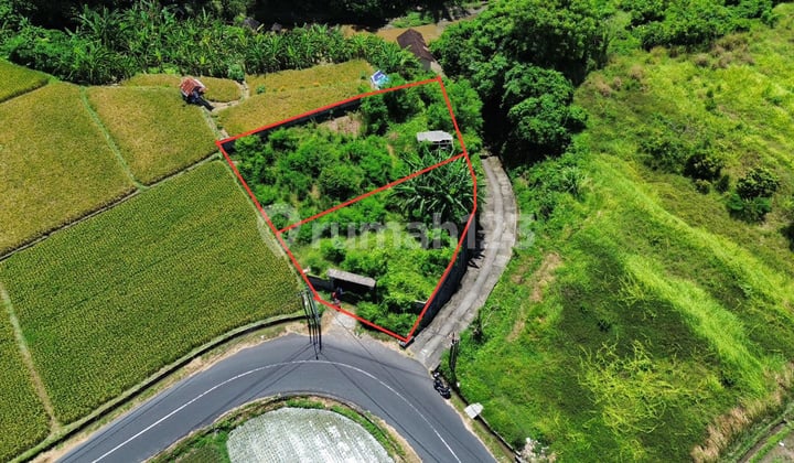 Sell Cheap Land with River and Jungle Views Near Ubud