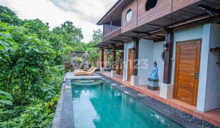 Dijual New Villa Kayu 2 Kamar Tidur - View Bukit & Rice Terrace