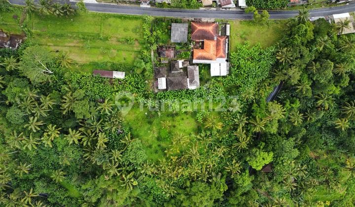 Dijual Lahan Premium Jalan Utama Ubud View Sunset Lembah Hutan