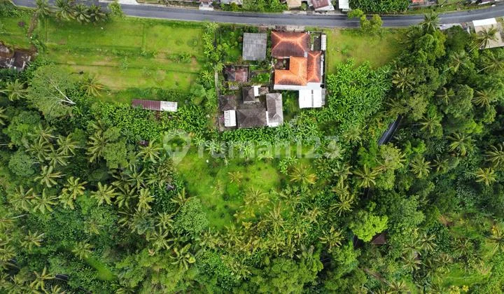 Dijual Lahan Premium Jalan Utama Ubud View Sunset Lembah Hutan