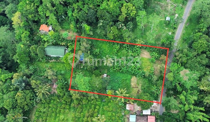 Dijual Lahan Murah di Taro Gianyar View Hutan