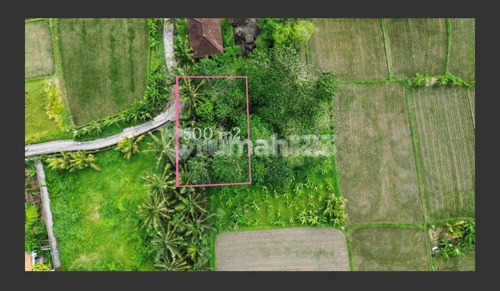 Dijual Lahan Premium - Singakerta Ubud Ideal untuk Villa