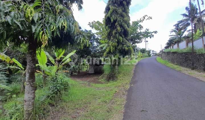 L07 Dijual Tanah Di Kayuputih Damai, Buleleng SHM