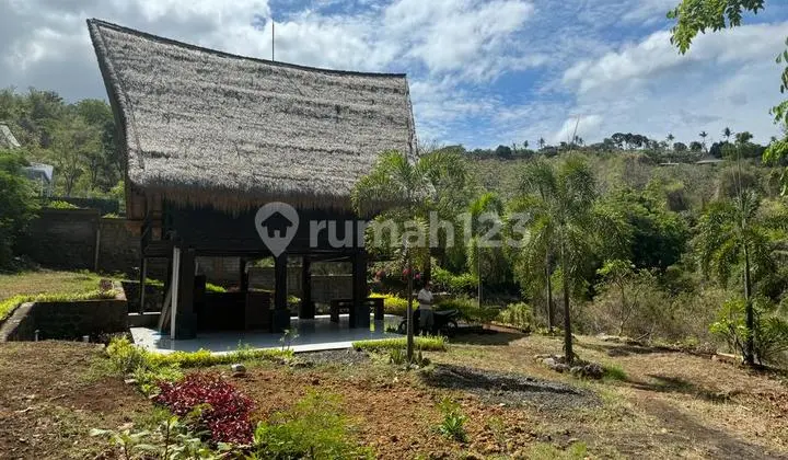 L06 Tanah di Temukus, Buleleng Sertifikat Hak Milik 2.400 m²