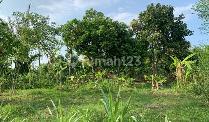 L34 Land for sale 800 M2 SHM Ready to Build Near the Beach