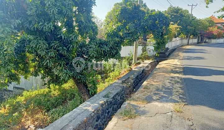 L12 Dijual Tanah Tepi Jalan Bubunan SHM Pemandangan Sawah