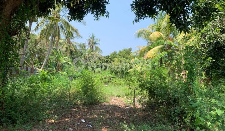 L18 Dijual Tanah 5Are SHM di Temukus Dekat ke Pantai