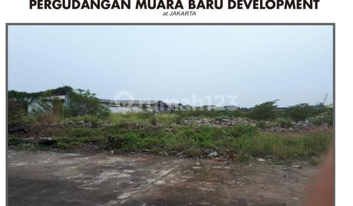 Tanah Murah Muara Baru Cocok untuk Pabrik, Gudang, Cold Storage Jakarta Utara